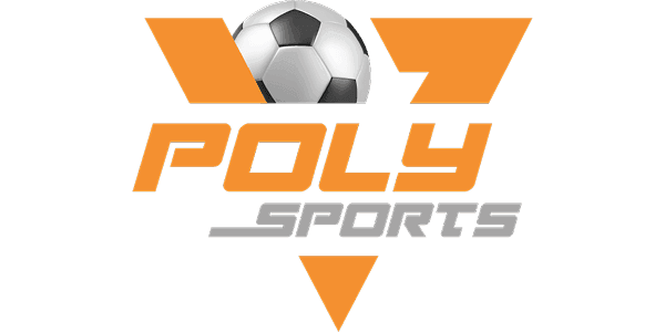 পলি-কালার Logo